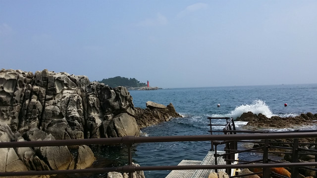 20160611_095639_토성면[1].jpg