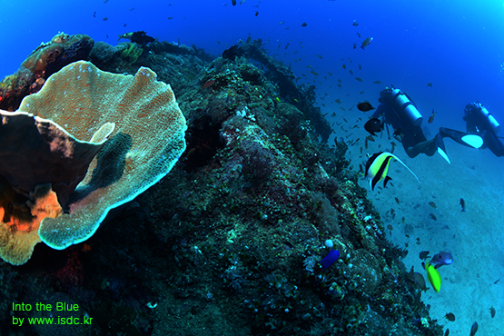 Sabang wreck_Sabang_Philippines_12may201906-1.jpg