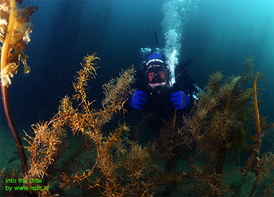 Gangwon_Cheongganjeong_House reef_26may201906-1.jpg