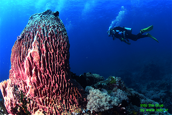 Hole in the wall_Sabang_Philippines_14may201904-1.jpg