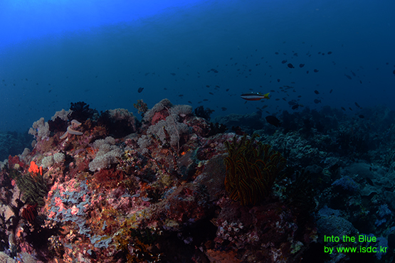 Hole in the wall_Sabang_Philippines_14may201918-1.jpg